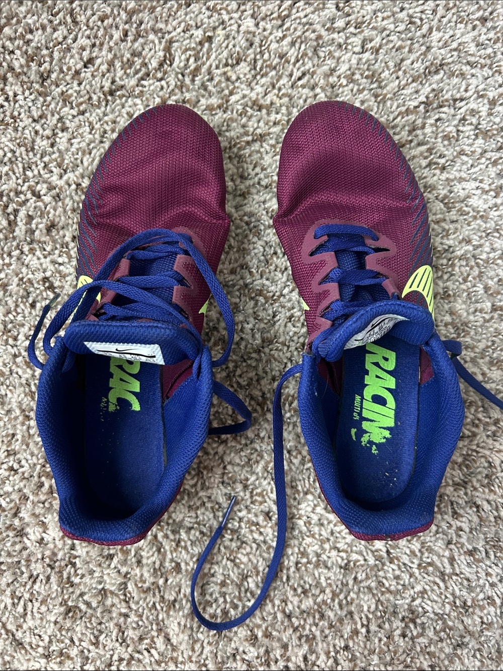 Adult Burgundy and Navy Athletic Sneakers